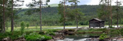 svangtjernmyra_L