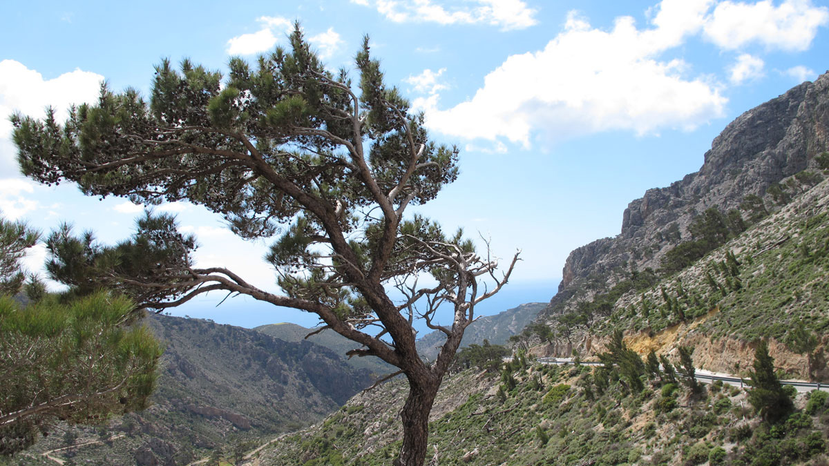 2014 05 05 Kreta 1 (5)
