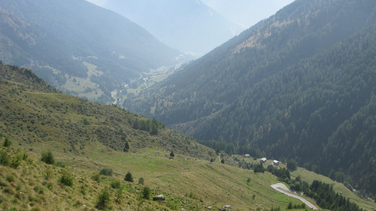 Gavia 1 04