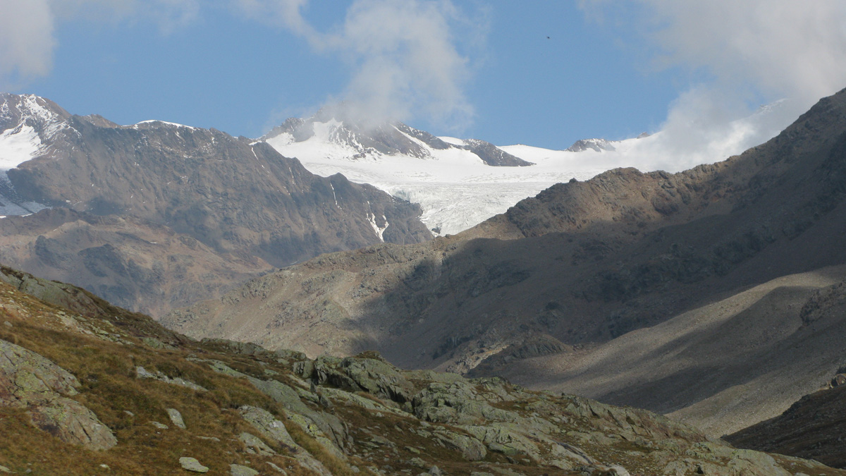 Gavia 3 3