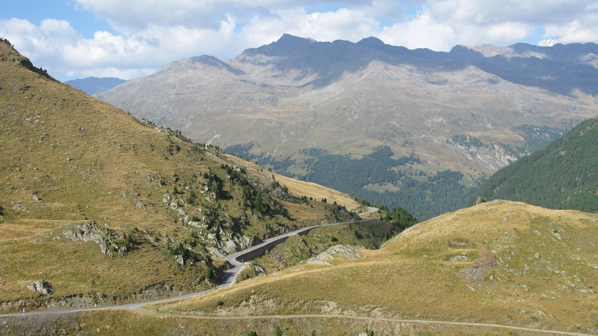Gavia 3 4