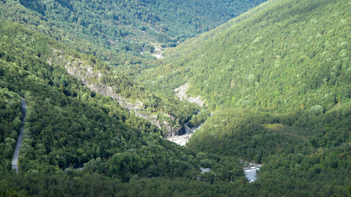 IMG 0636