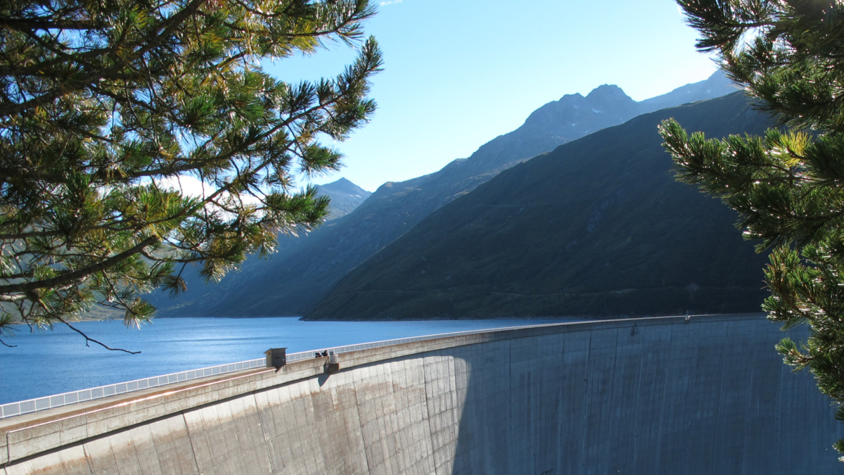 IMG 1235