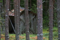 Brydalen 1