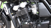 Fazer 12