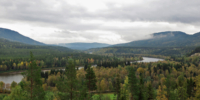 Gardli Stor-elvdal 2