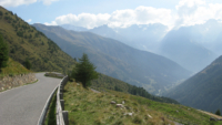 Gavia 2 2