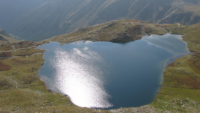 Gavia 2 4