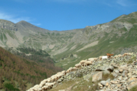 Grand Tour des Alpes 2016 II 1(3)