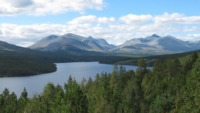 Rondevegen 7